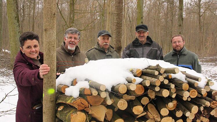 Der gelbe Punkt markiert die Bäume, die stehen bleiben sollen. Foto: Diana Fuchs