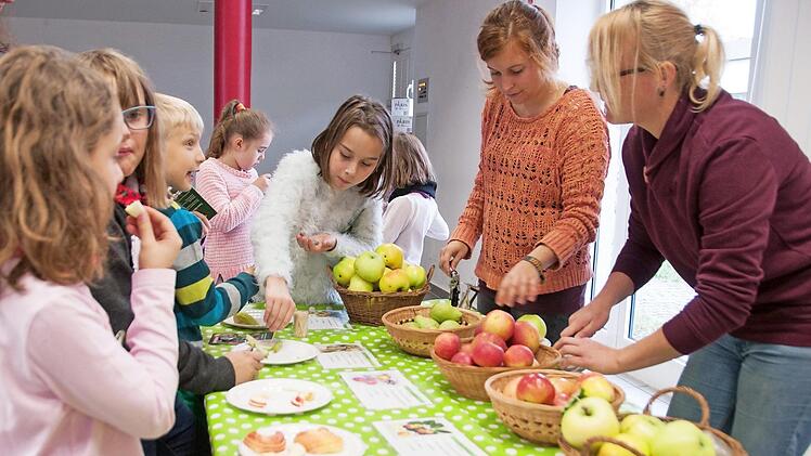 Über 100 alte Birnen- und Apfelsorten gibt es am Wegesrand im ehemaligen Bundeswehrgelände. Fünf davon durften die Eberner Grundschüler bei der offiziellen Eröffnung der Wanderwege kosten - und sie ließen es sich schmecken. Fotos: Pia Bayer