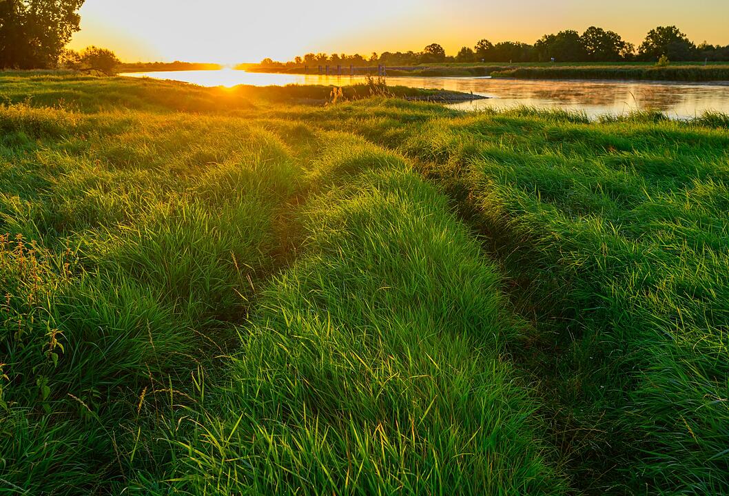 Sonnenaufgang am Fluss Oder