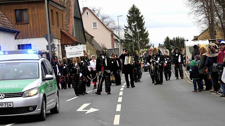 Impressionen vom Faschingsumzug der Weisendorfer Blummazupfer. Foto: Richard Sänger