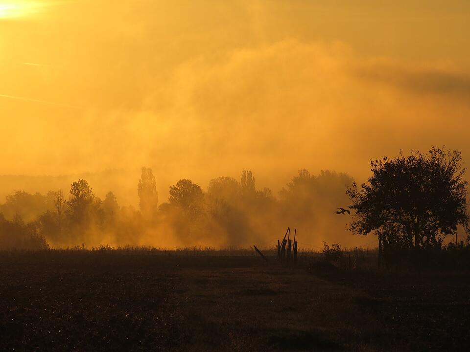 Die schönsten Herbstfotos aus Haßfurt und Umgebung