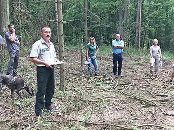 Revierförster Bernhard Streck (Dritter von links) schilderte bei der Waldbegehung die Schäden im Hofheimer Stadtwald.  Foto: Wolfgang Borst