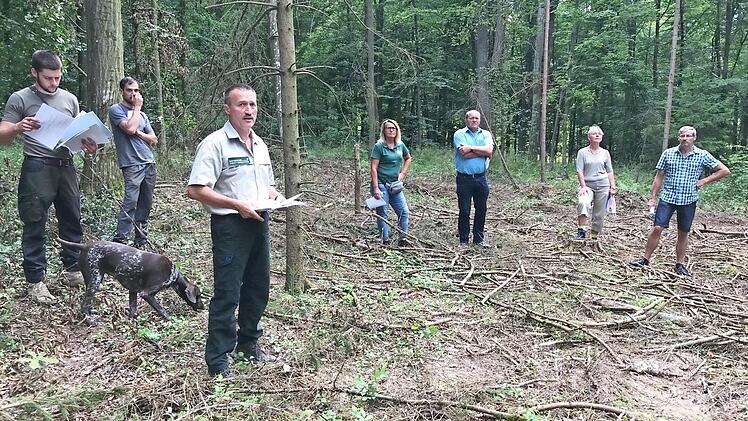 Revierförster Bernhard Streck (Dritter von links) schilderte bei der Waldbegehung die Schäden im Hofheimer Stadtwald.  Foto: Wolfgang Borst