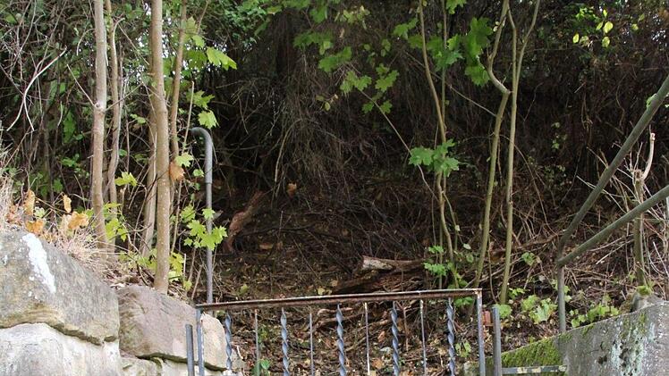 Noch nicht saniert, obwohl das vereinbart war: Die Treppe vom Brauhof zum Gustav-Freytag-Weg. Foto: Simone Bastian