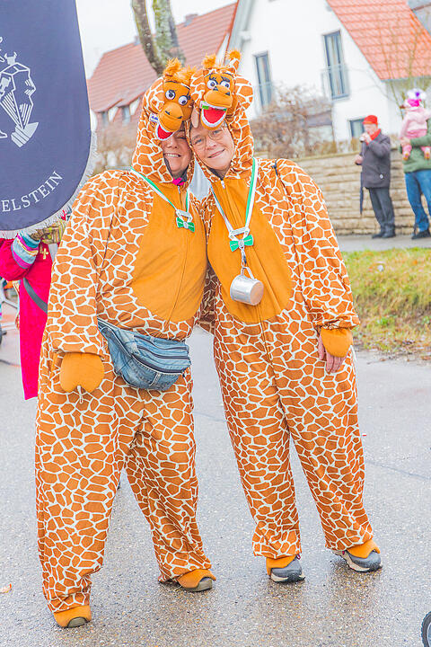 Buntes Faschingstreiben begeistert groß und klein.