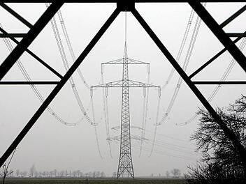 Symbolbild: Jan Woitas dpa/lah