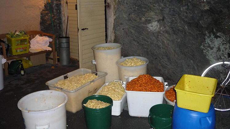 So fängt das gemeinsame "Rumm stopfen" an: Steckrüben, Möhren, Lauch, Wirsing und Weißkraut werden geputzt und geschnippelt. In diesem Jahr haben die Wallenfelser 500 Kilo vorbereitet.