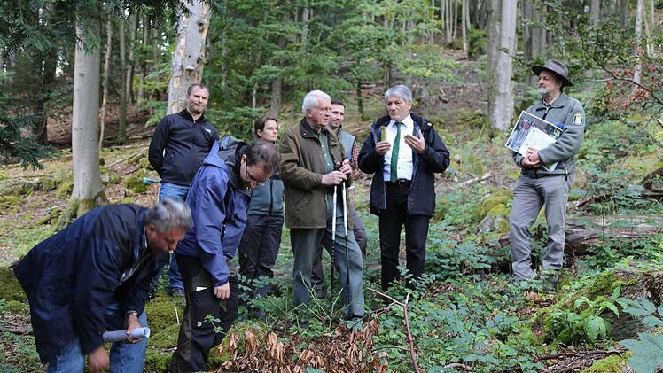 Im Wald zwischen Mostviel und Egloffstein schauten sich der Eigentümer unmd Experten an, wie dem Forst der Hieb vor zwei Jahren bekommen ist. Foto: Galster