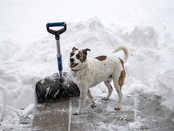 Schnee, Schneeschieber, Schneeschaufel, Schneeschippen