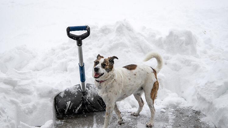Schnee, Schneeschieber, Schneeschaufel, Schneeschippen