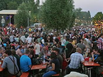 Blick vom Weinhügel über den Festplatz am Montagabend.