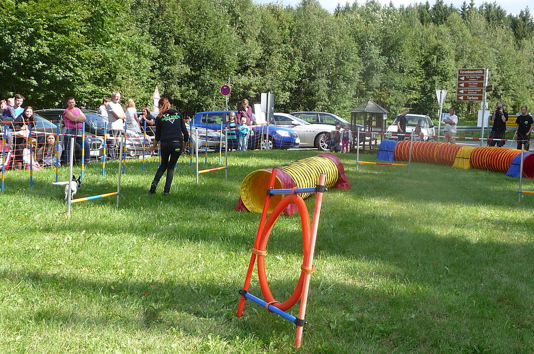 19.8.2017 Tierheimfest Kulmbach