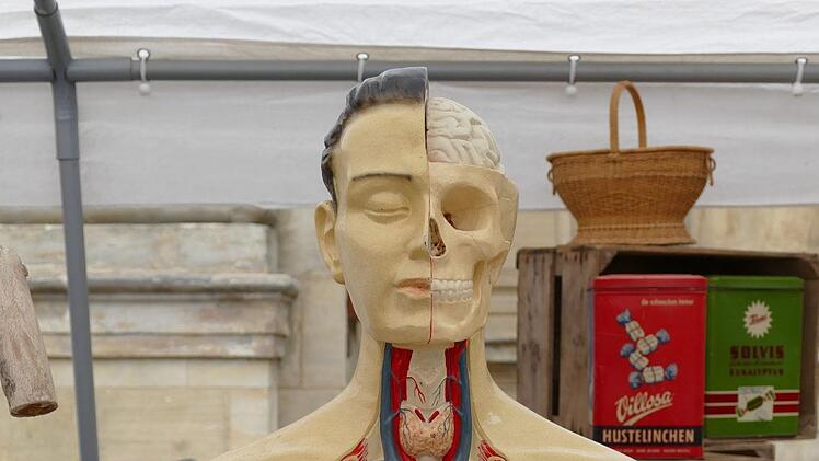 Das Anatomiemodell präsentierte sich den Marktbesuchern herzlos. Foto: Marion Krüger-Hundrup