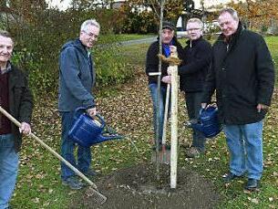 Der Vorsitzende des Gartenbauvereins Untersteinach, Wolfgang Wagner (Zweiter von links), mit (von links) seinem Stellvertreter Max Griesbach, Ernst Zäh, Peter Wilm und Bürgermeister Volker Schmiechen beim Gießen und Pflegen des Zwetschgenbaums. Foto: Werner Oetter