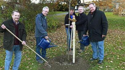 Der Vorsitzende des Gartenbauvereins Untersteinach, Wolfgang Wagner (Zweiter von links), mit (von links) seinem Stellvertreter Max Griesbach, Ernst Zäh, Peter Wilm und Bürgermeister Volker Schmiechen beim Gießen und Pflegen des Zwetschgenbaums. Foto: Werner Oetter