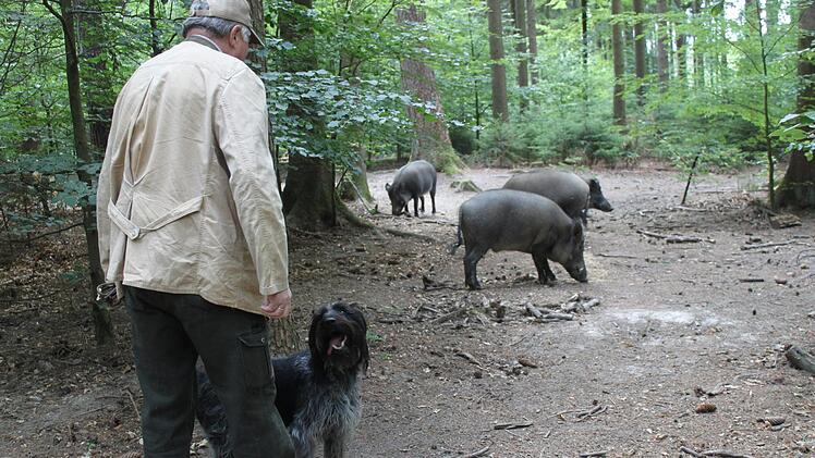 Jagdhund "Anni" wird von Adolf Reinel gelobt. Foto: Carmen Schwind