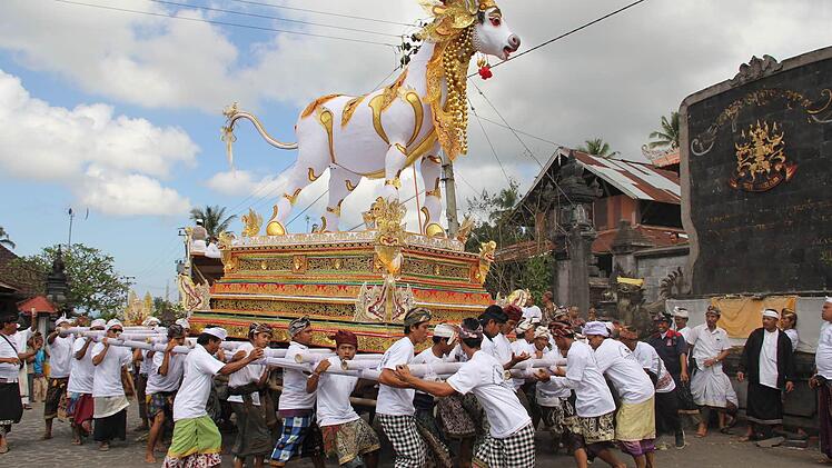 Beerdigungszeremonie auf Bali: Der zentnerschwere Sarg einer Priesterin wird durch die Straßen getragen. Foto: Bergholter/Müller