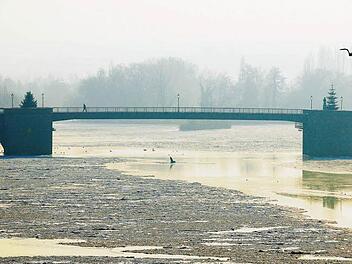 Der Main hat derzeit nur mäßige Qualität, bis 2015 soll er wie alle Fließgewässer in Europa einen ,,guten ökologischen Zustand'' aufweisen. Foto: Streit