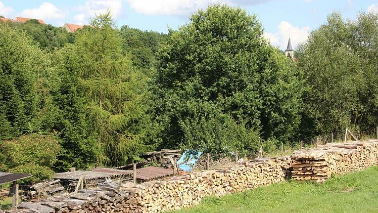 Holzplatz bei Premich