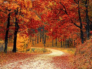 Wie wird der Herbst 2020?