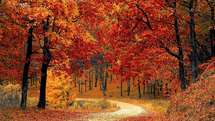 Wie wird der Herbst 2020?