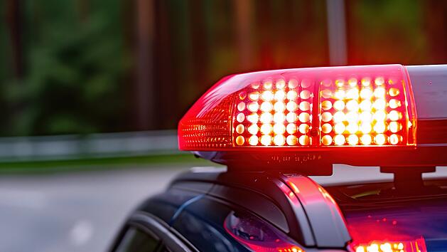 Polizei, Polizei im Wald, Waldgebiet, Vermisstensuche