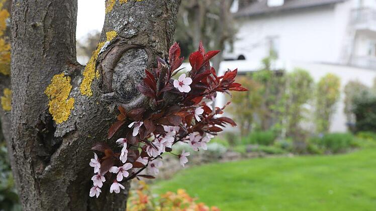 Foto: Barbara Herbst