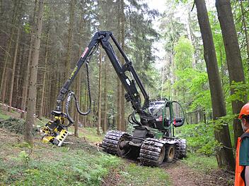 Mit einem Harvester wird zurzeit am Bausenberg Holz geerntet. Die breiten Kettenbänder, die über die Räder gezogen werden, sollen den Boden dabei schützen. Foto: Rainer Lutz