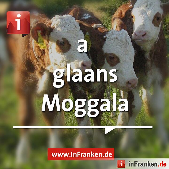 Tag der Muttersprache: Fränkisch zum Teilen