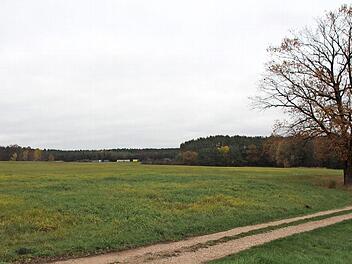 Auf diesem Gelände zwischen der Autobahn und Nackendorf soll ein Solarpark entstehen.  Foto: Andreas Dorsch