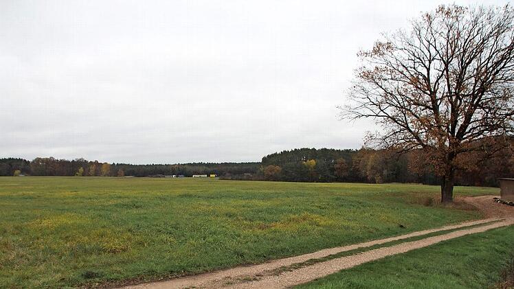 Auf diesem Gelände zwischen der Autobahn und Nackendorf soll ein Solarpark entstehen.  Foto: Andreas Dorsch