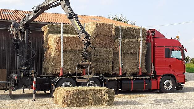 Lauf an der Pegnitz: Pferdehofbetreiberin hilft Flut-Tieren