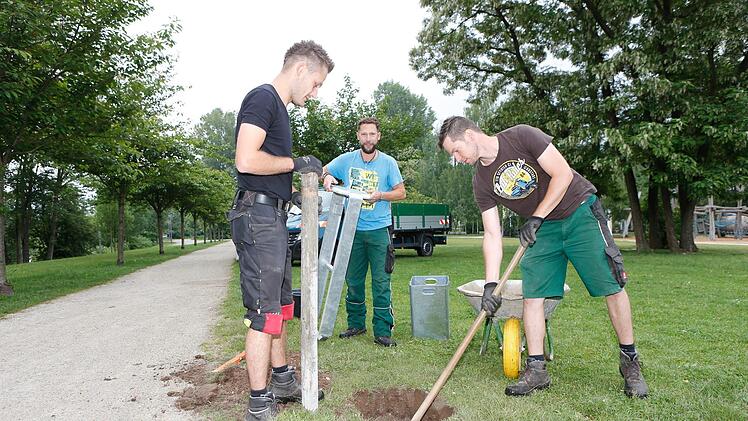 Stadt Bamberg sagt dem M&uuml;ll-Chaos  den Kampf an. Foto: Matthias Hoch