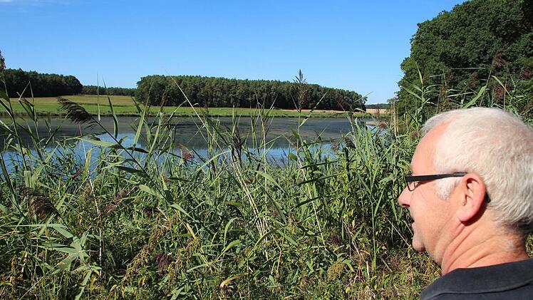 Saltendorf liegt an einem wunderschönen großen Weiher, den man vom Dorf aus aber kaum sieht. Foto: Andreas Dorsch