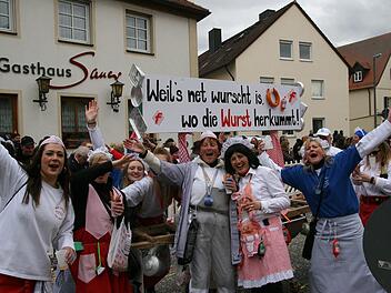 Bunt und  fröhlich ging es zu beim Faschingszug in HirschaidWerner Baier
