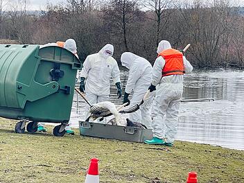 Vogelgrippe Michelau