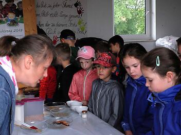Bei Sandra Selbert gab es nicht nur frische Brötchen aus dem Backofen sondern auch Information über den Futteranbau. Foto: Gerd Schaar