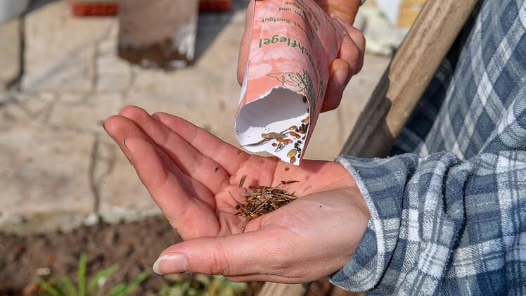 Eine bienenfreundliche Samenmischung sorgt für viele bunte Blüten im Garten.  Foto: Ronald Rinklef