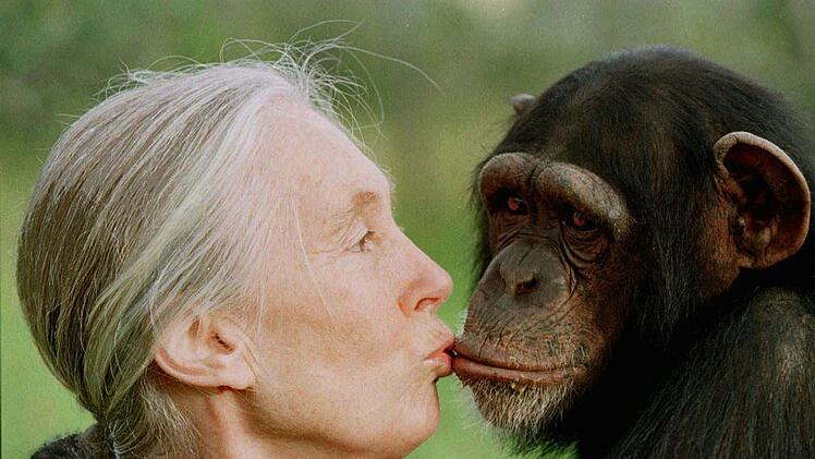Primatenforscherin Jane Goodall
