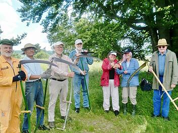 Naturschutz ist harte Knochenarbeit: Zum vierten Mal mähten Rhönklub-Mitglieder mit Sensen die Lupinen in der Rhön; dabei waren (von links nach rechts) Günther Wischert, Artur Gayer, Hubert Töpfer, Franz Körber, Marlene Müller-Engelhardt, Anne Neisser und Engelbert Heil.  Foto: Rhönklub