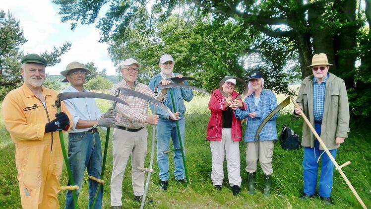 Naturschutz ist harte Knochenarbeit: Zum vierten Mal mähten Rhönklub-Mitglieder mit Sensen die Lupinen in der Rhön; dabei waren (von links nach rechts) Günther Wischert, Artur Gayer, Hubert Töpfer, Franz Körber, Marlene Müller-Engelhardt, Anne Neisser und Engelbert Heil.  Foto: Rhönklub