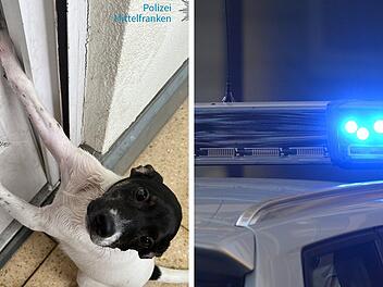 Wohnung in N&uuml;rnberg aufgebrochen: Hund in Terrassent&uuml;r eingeklemmt - wimmerte stundenlang