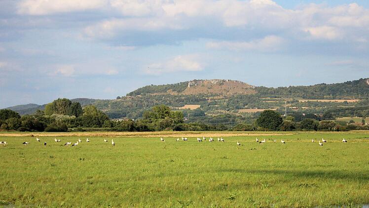Wässerwiesen im Wiesenttal, im Hintergrund das Walberla Foto: Landratsamt Forchheim