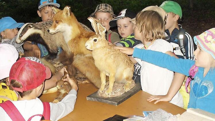 Die Kindern schauen Hase, Fuchs, Dachs und andere Tiere aus nächster Nähe an und streicheln sie.Fotos: Helmut Raab