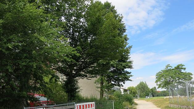 Der letzte Teil  des Schulwegs der Kinder von der Hauptstra&szlig;e kommend f&uuml;hrt  am Hesselbach  entlang bis zum Bach&uuml;bergang (Br&uuml;cke links). Von dort f&uuml;hrt der Weg direkt  zum Eingang der Schule.   Foto: Dagmar Niemann