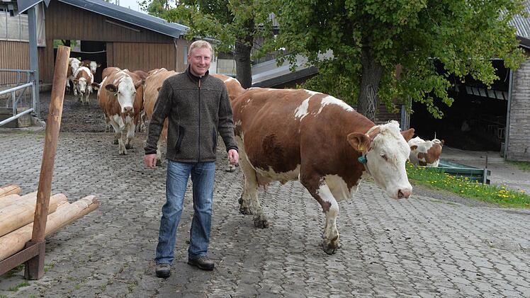 Johannes Förtsch lässt die Kühe auf die Weide.  Foto: Ronald Rinklef
