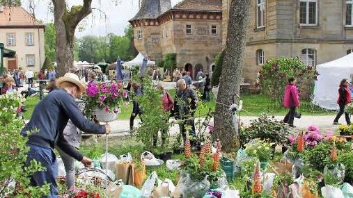 Passt zusammen: Blumen- und Schlosspracht.