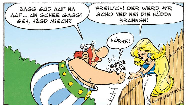 Dritter Asterix auf Oberfränkisch: Asterix bei der Husdndrubbn seit 8. April 2024 erhältlich