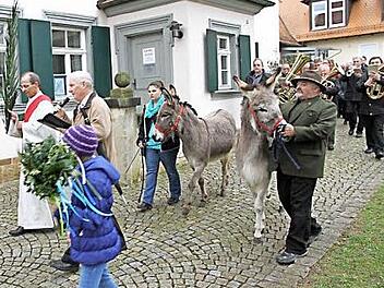 Die beiden Esel Emil und Violette begleiten am Palmsonntag die Prozession in Hallerndorf.  Foto: Mathias Erlwein
