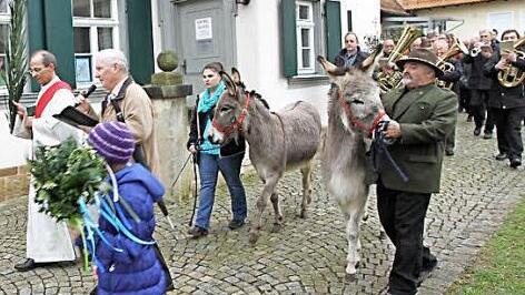 Die beiden Esel Emil und Violette begleiten am Palmsonntag die Prozession in Hallerndorf.  Foto: Mathias Erlwein